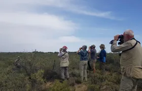 Full-day Excursion to Peninsula Valdes from Puerto Madryn