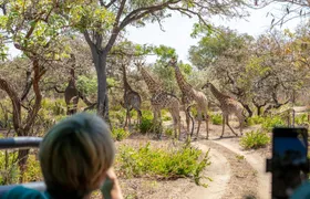 Fathala Wildlife Reserve full-day tour