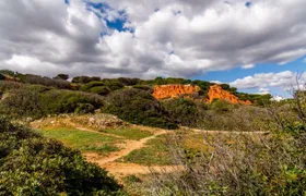 Full-day guided Jeep tour from Albufeira