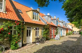Introductory walking tour of Aarhus with a local