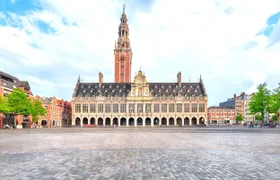 Leuven 2-hour intro walking tour with a local