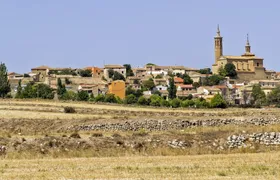 Full-day wine tour and visit to Goya's birthplace