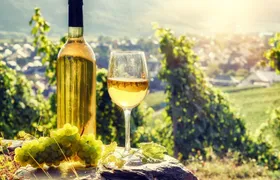 Alsace full-day shared wine tour from Colmar