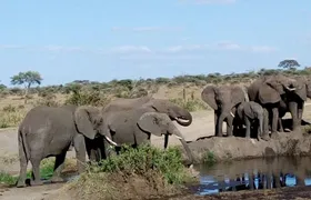 6-Day Nature and Beyond Safari