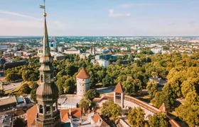 Explore Tallinn's photogenic highlights with a local
