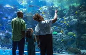 Aquarium of the Pacific Tickets