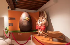 Choco Story Bruges Entrance tickets