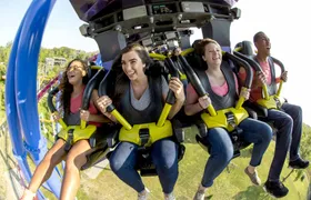 Kings Island One Day Ticket