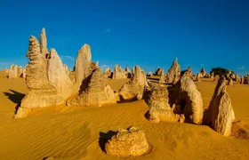Pinnacles and Swan Valley Full-day Guided Tour