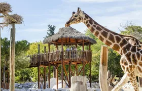 Zoo Aquarium Madrid Entrance Tickets
