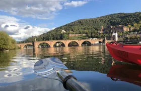 Guided kayak tour on the Neckar in Heidelberg