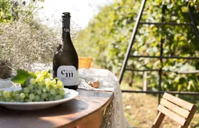 Wine Tasting Tour in Prosecco Hills in Veneto