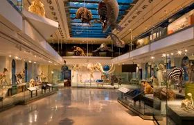 Natural History Museum of Los Angeles tickets