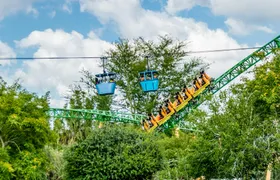 Busch Gardens® Tampa Bay 1-day admission tickets