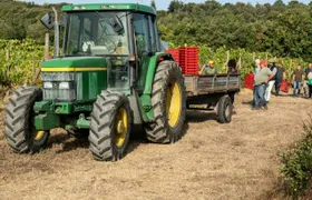 Umbrian wine tasting at Tenuta di Corbara