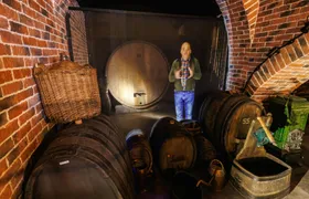 Tickets for Alsace Wine Museum in Colmar
