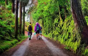 Sete Cidades Full-Day Hiking Experience