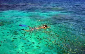 Speedboat tour of the Phi Phi Islands