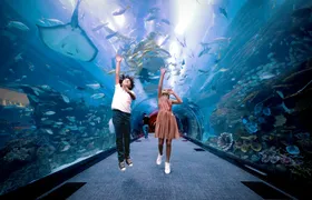 Burj Khalifa floors 124, 125 and Dubai Aquarium tickets