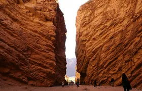 Cafayate full-day excursion with wine tasting from Salta