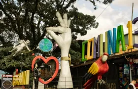 2-day Medellín coffee tradition and urban music culture tour