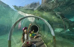 Zoo Miami general admission tickets or food package