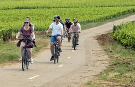 Bike and wine day tour in Burgundy's Côte de Beaune