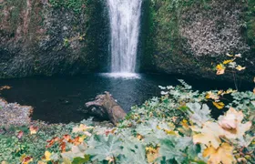 Afternoon half-day to Multnomah Falls and River Gorge Waterfalls