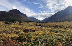 Flora and fauna nature walk in the Glen Alps