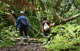 Sinharaja Rain Forest Tour from Hambantota