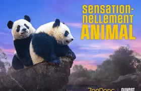 Entrance ticket for ZooParc de Beauval