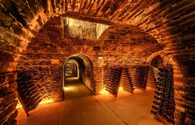 Cellar visit at Boizel Champagne House with Joyau tasting