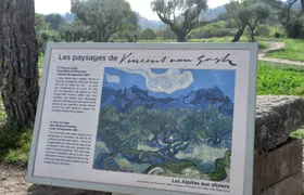 In the Footsteps of Van Gogh in Provence from Avignon