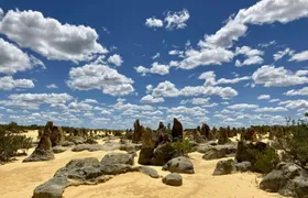 Pinnacles Guided Tour in German