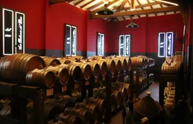 Tasting tour of balsamic vinegar of Modena at Aceto Balsamico del Duca