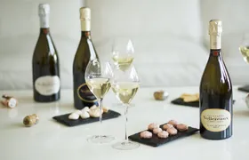 Guided Tour of the Vollereaux Champagne Cellar with tasting