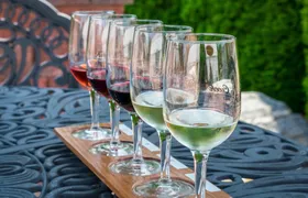 Winemaker for one day
