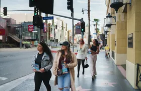 Half-Day sightseeing tour of the best of Los Angeles from Santa Monica