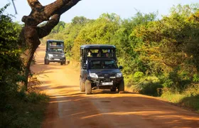 Yala National Park 4x4 safari with a local guide