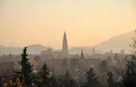 Instagrammable spots of Freiburg walking tour with a Local