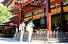 Port Pick-Up: Hakata Private Tour Licensed Guide& Vehicle