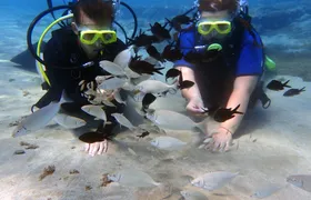 Discover scuba diving small group tour from Ayia Napa and Protaras