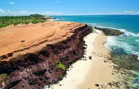 Pipa Day Trip - Group Tour Spanish and Portuguese