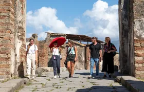 Pompeii and Mount Vesuvius select tour with local lunch