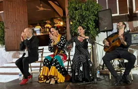 Flamenco dinner-show at a Guadalmina's restaurant