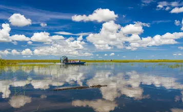 Everglades National Park full-day tour with round-trip transfer