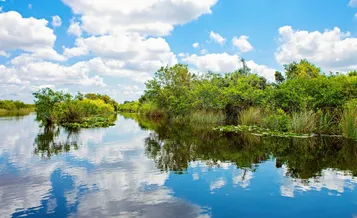 Everglades Tour from Miami